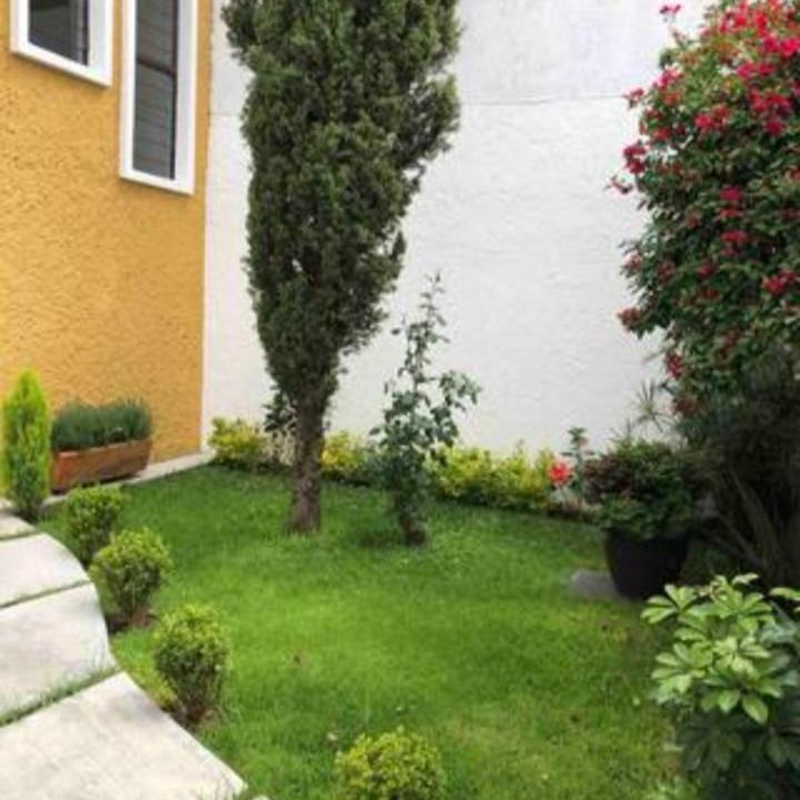 Photo of Buildings in San Cristobal de las Casas