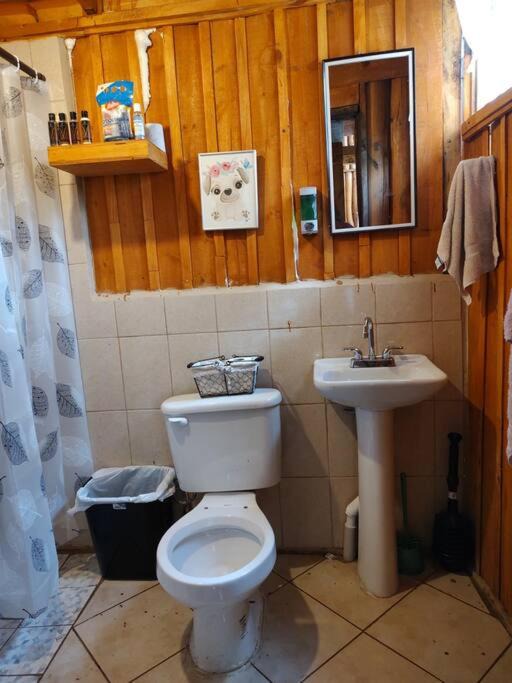 Photo of Bathroom in Arteaga