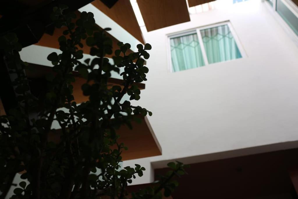 Photo of Buildings in Apizaco