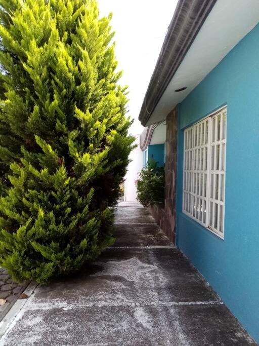 Photo of Others in Atlixco