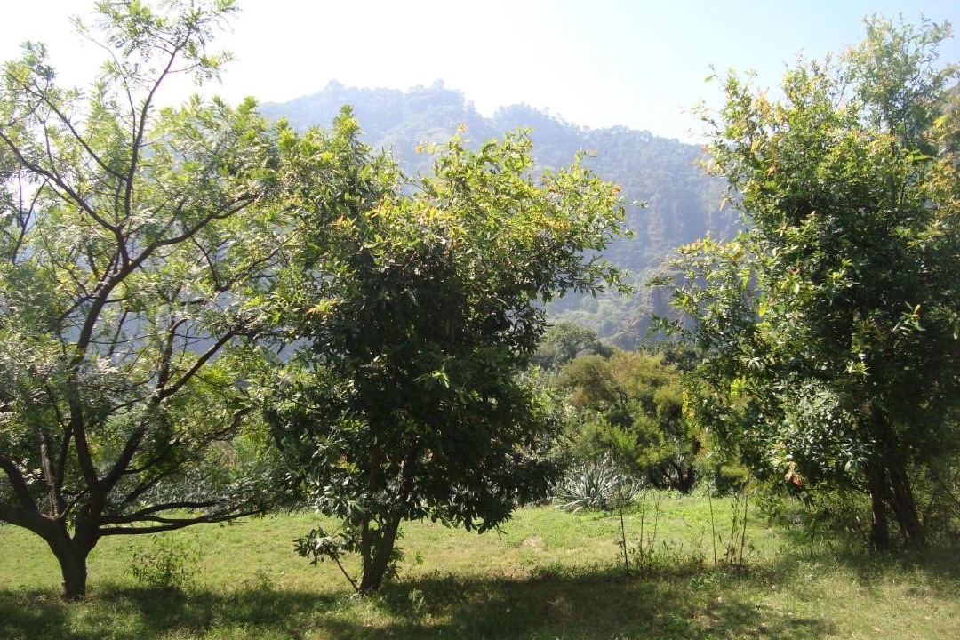Photo of Outdoor in Tlayacapan