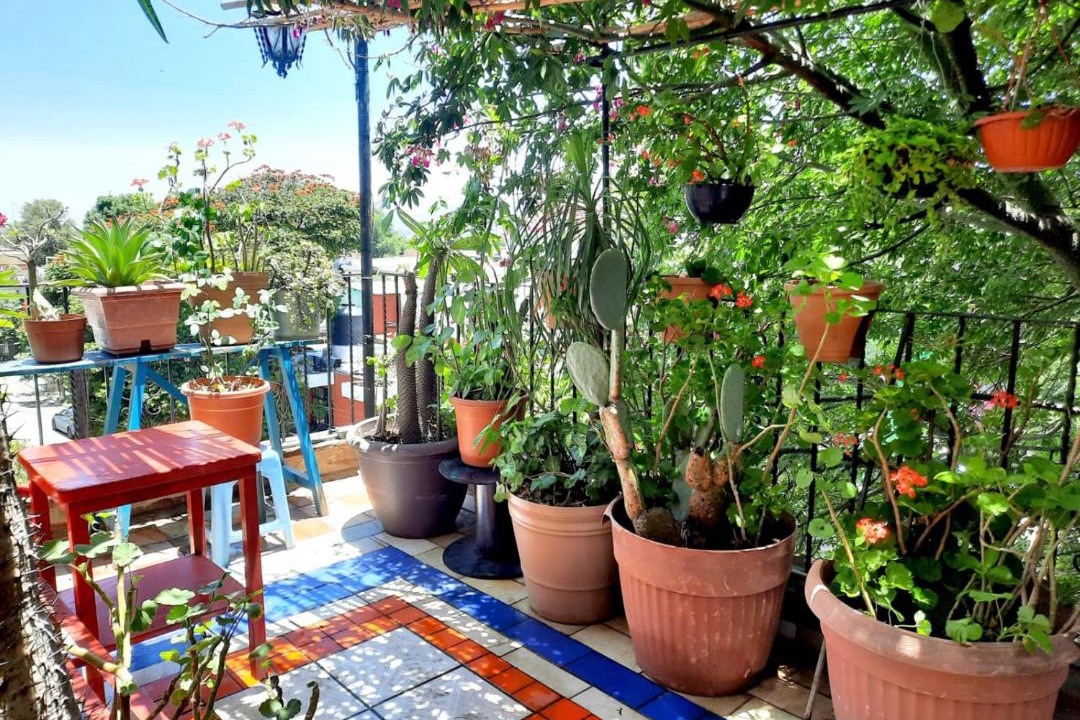 Photo of Patio Balcony in Oaxaca