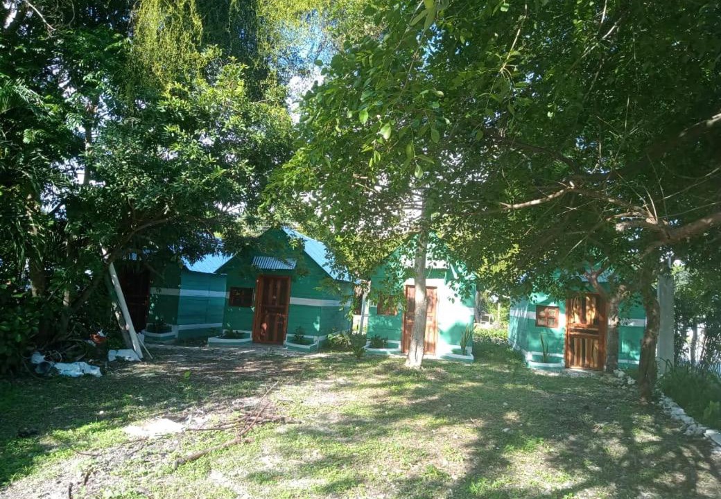 Photo of Others in Xpujil