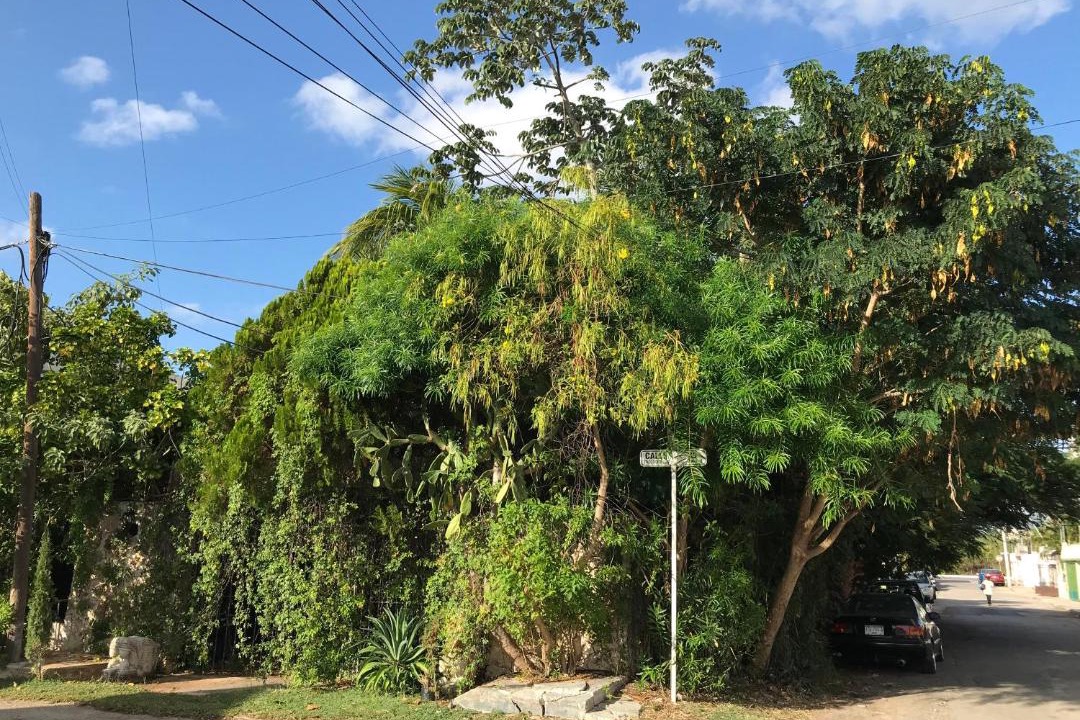 Photo of Others in Merida Municipality