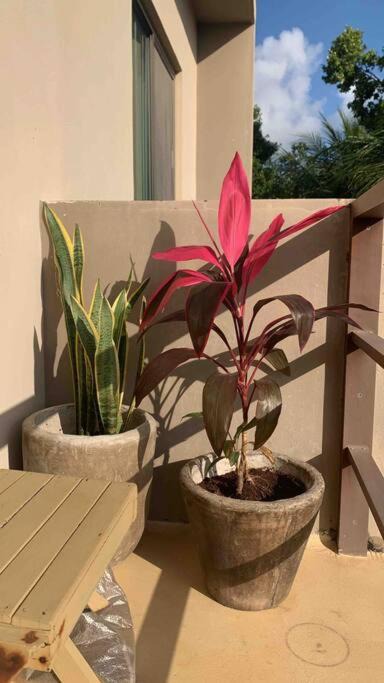Photo of Patio Balcony in La Veleta
