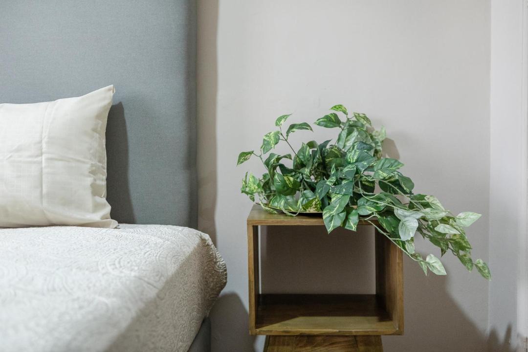 Photo of Bedroom in Roma Norte