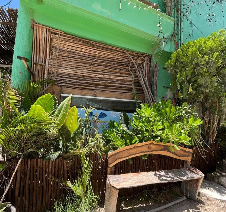 Photo of Others in Downtown Holbox