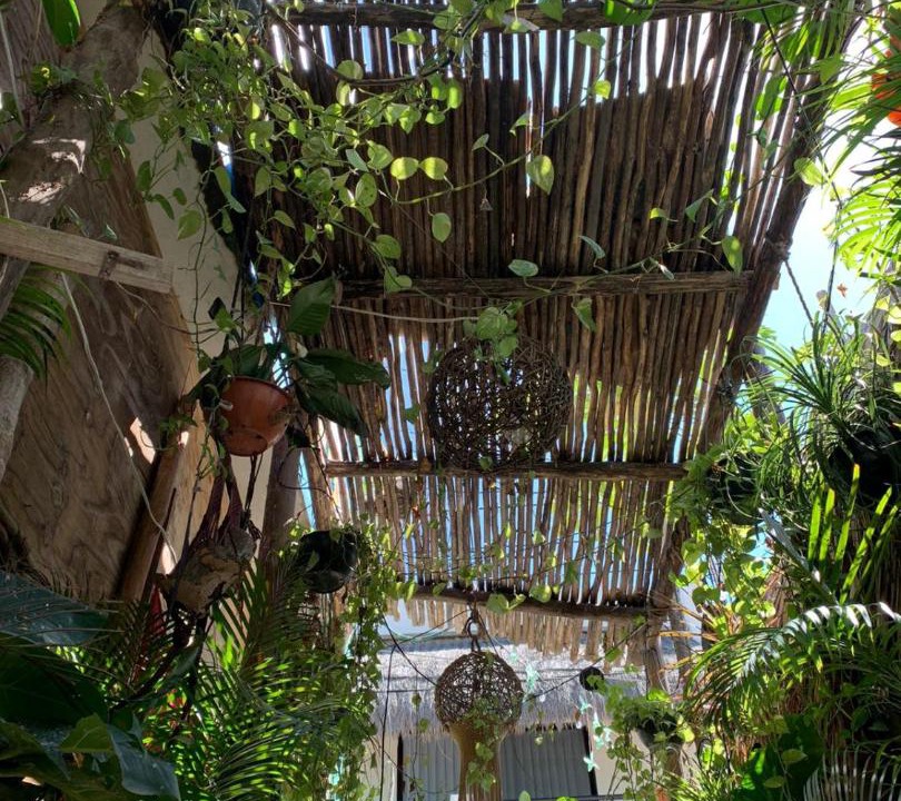 Photo of Others in Downtown Holbox