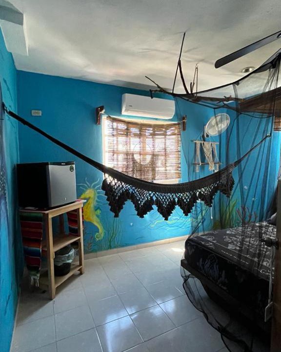 Photo of Outdoor in Downtown Holbox