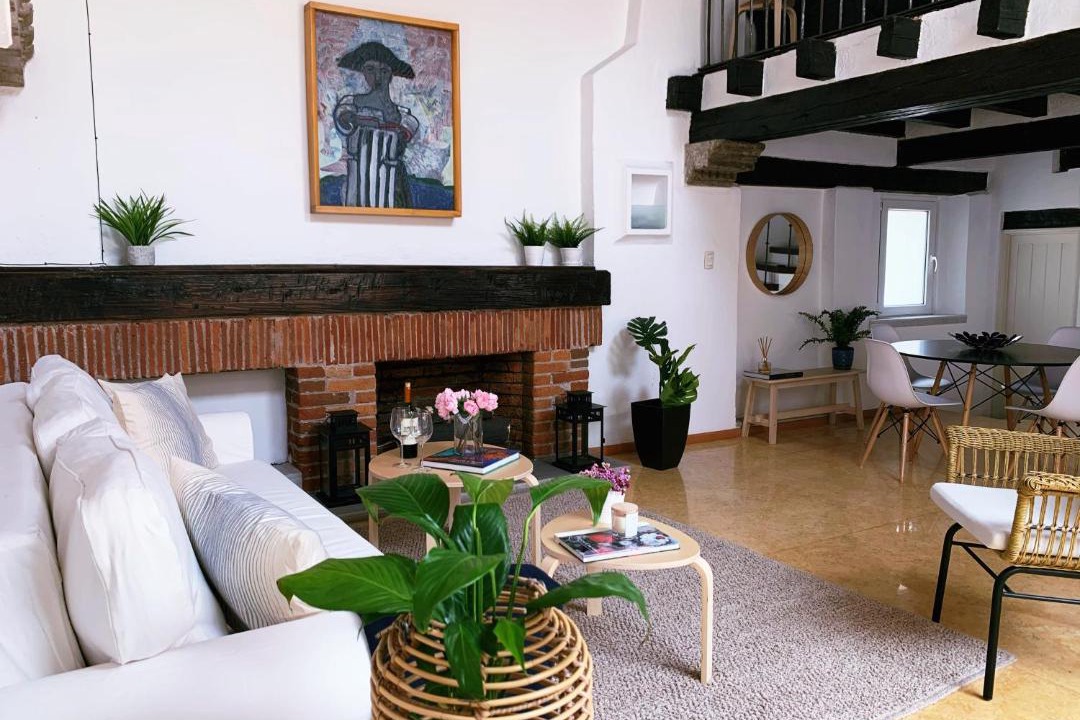 Photo of Livingroom in Coyoacan