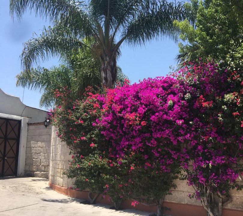 Photo of Outdoor in Centro