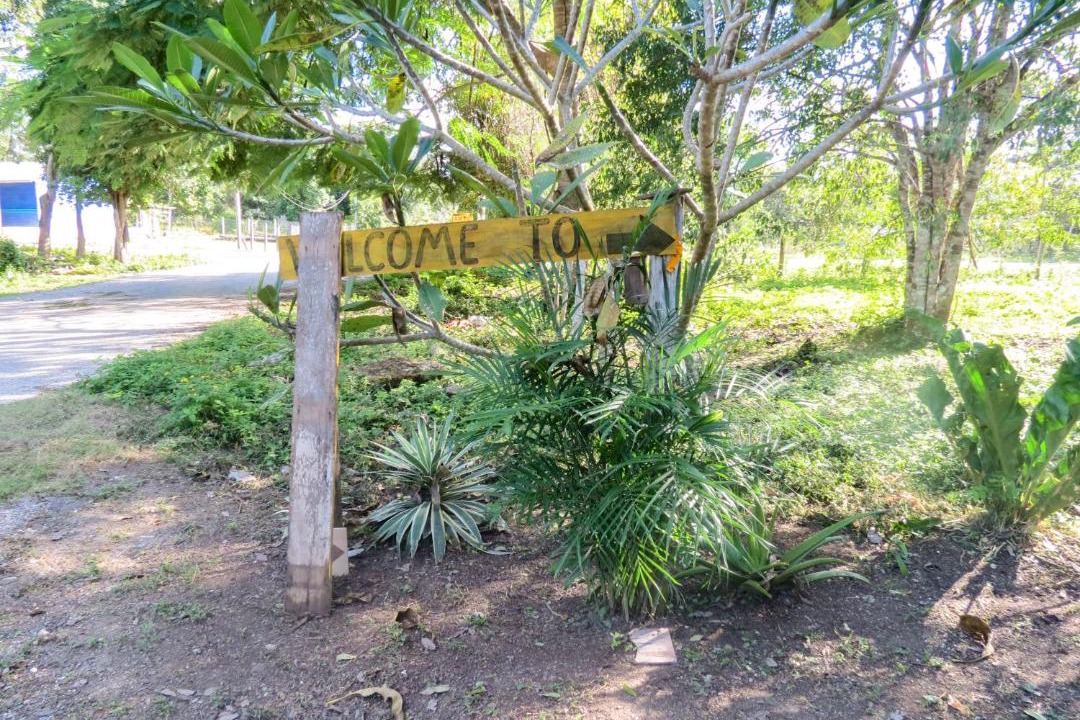 Photo of Outdoor in Conhuas