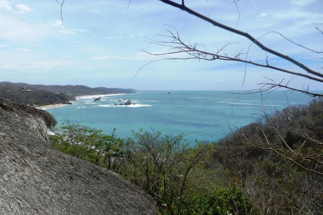 Photo of Others in Mazunte