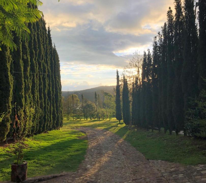 Photo of Others in Huasca De Ocampo