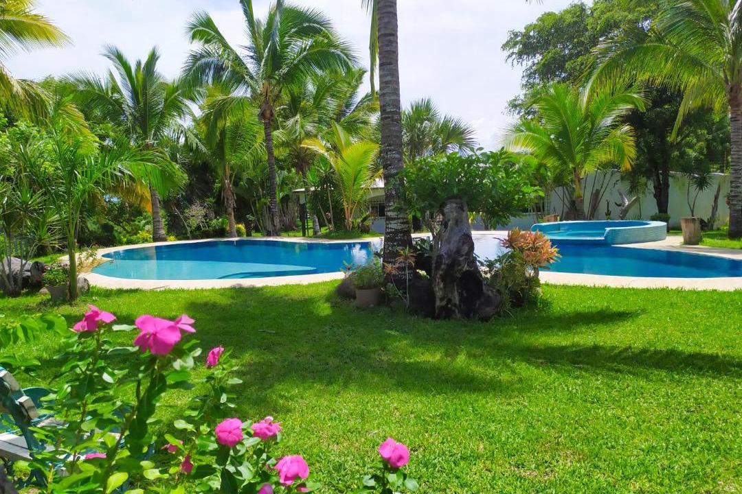 Photo of Others in Anton Lizardo