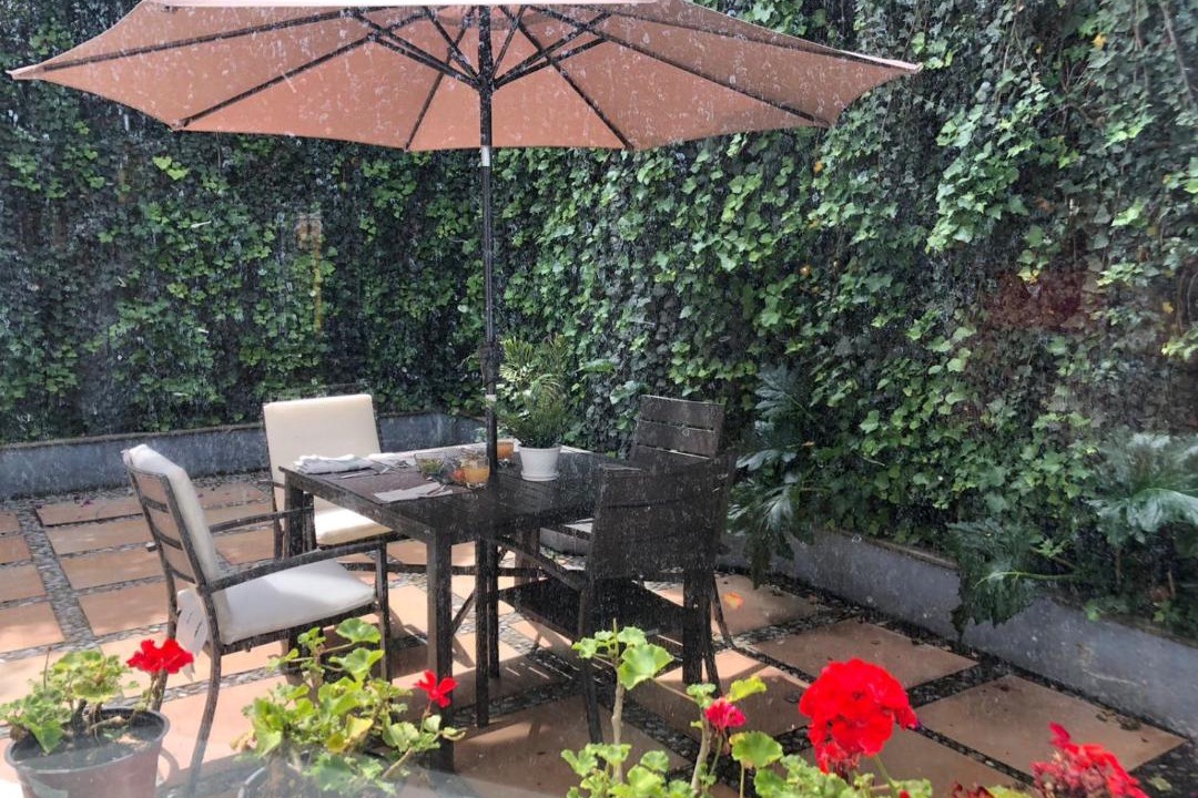 Photo of Patio Balcony in Coyoacan