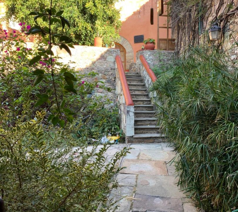 Photo of Others in Guanajuato