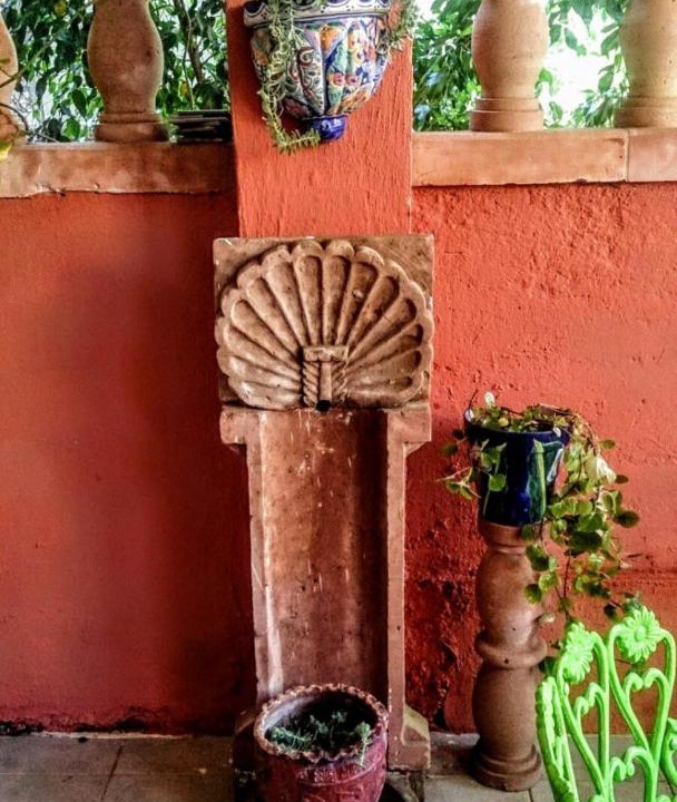 Photo of Others in Guanajuato