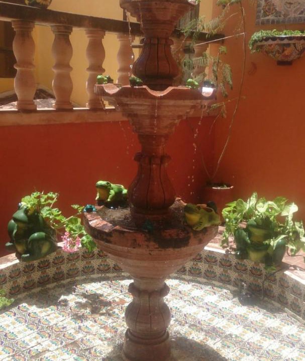 Photo of Others in Guanajuato
