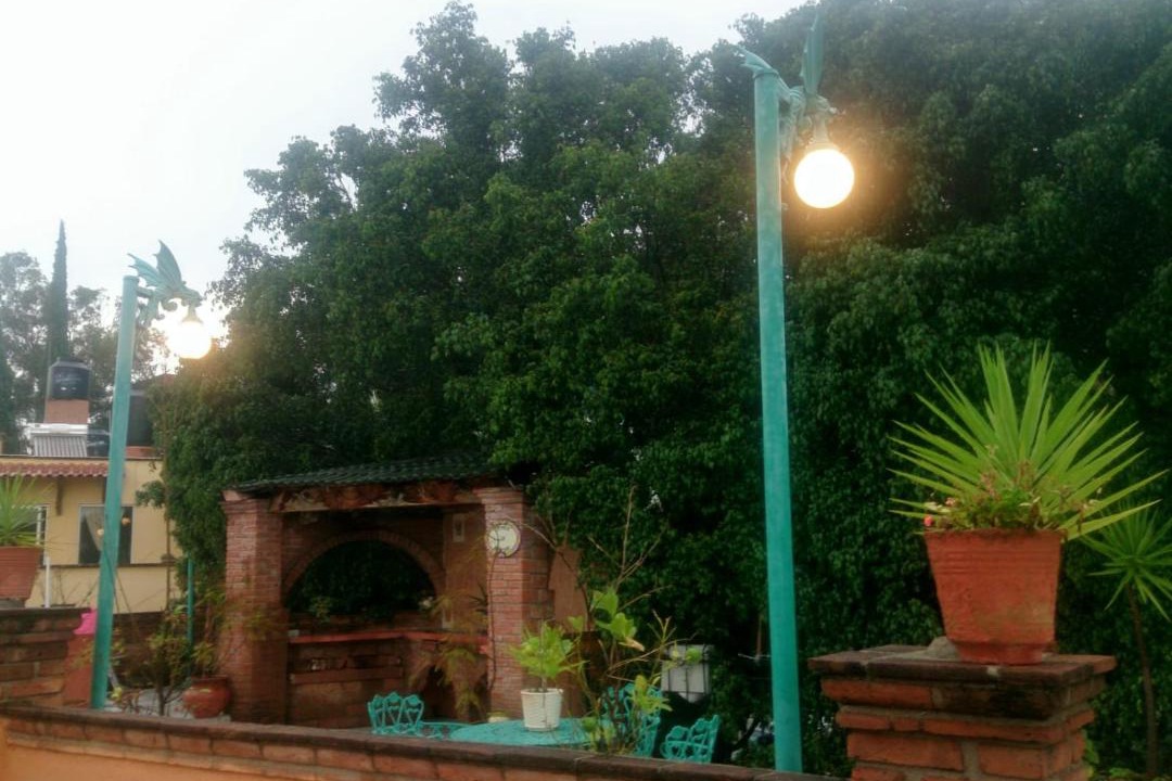Photo of Others in Guanajuato
