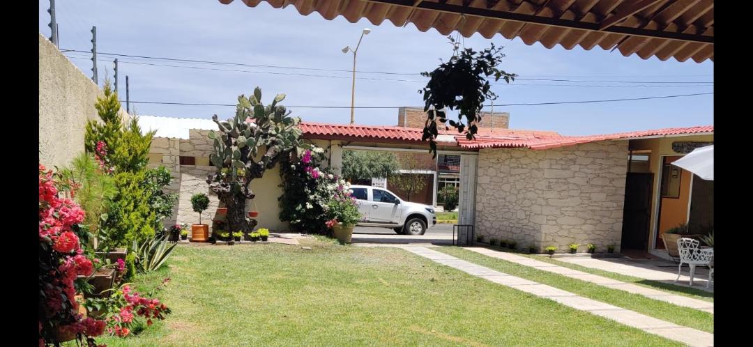 Photo of Others in Mineral de Pozos