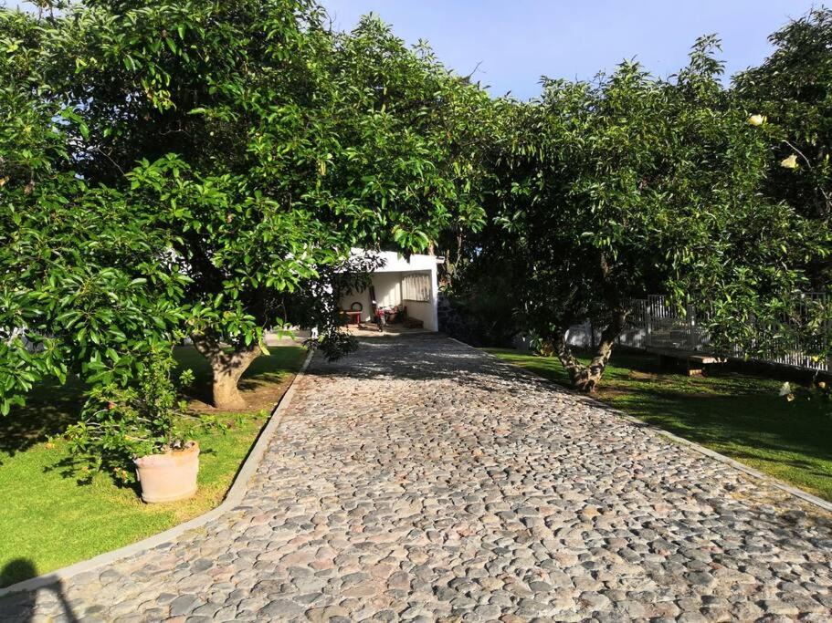 Photo of Others in Atlixco