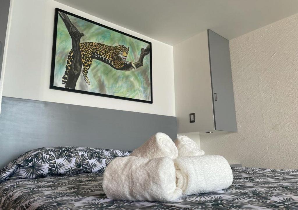 Photo of Bedroom in Costera Acapulco
