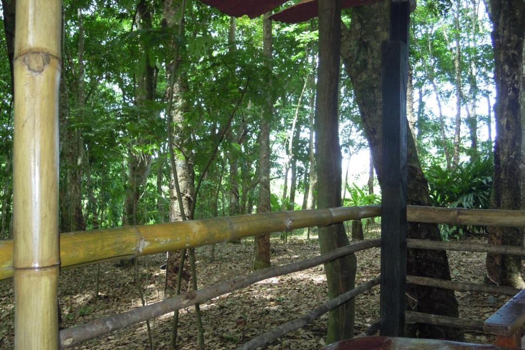 Photo of Others in Palenque