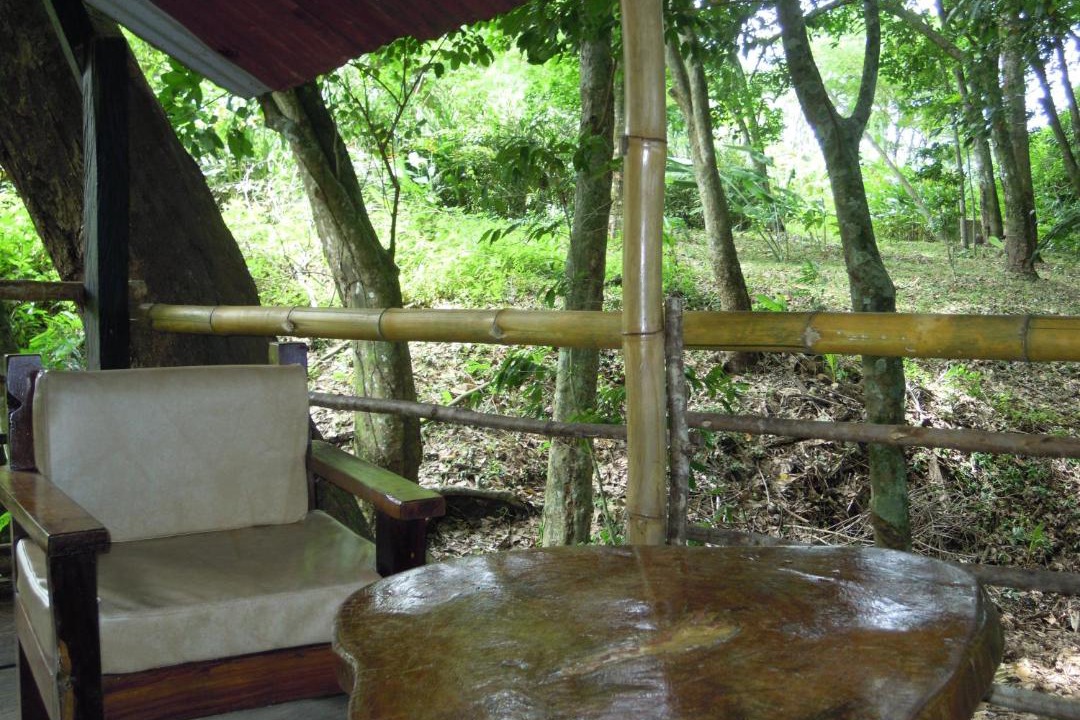 Photo of Others in Palenque