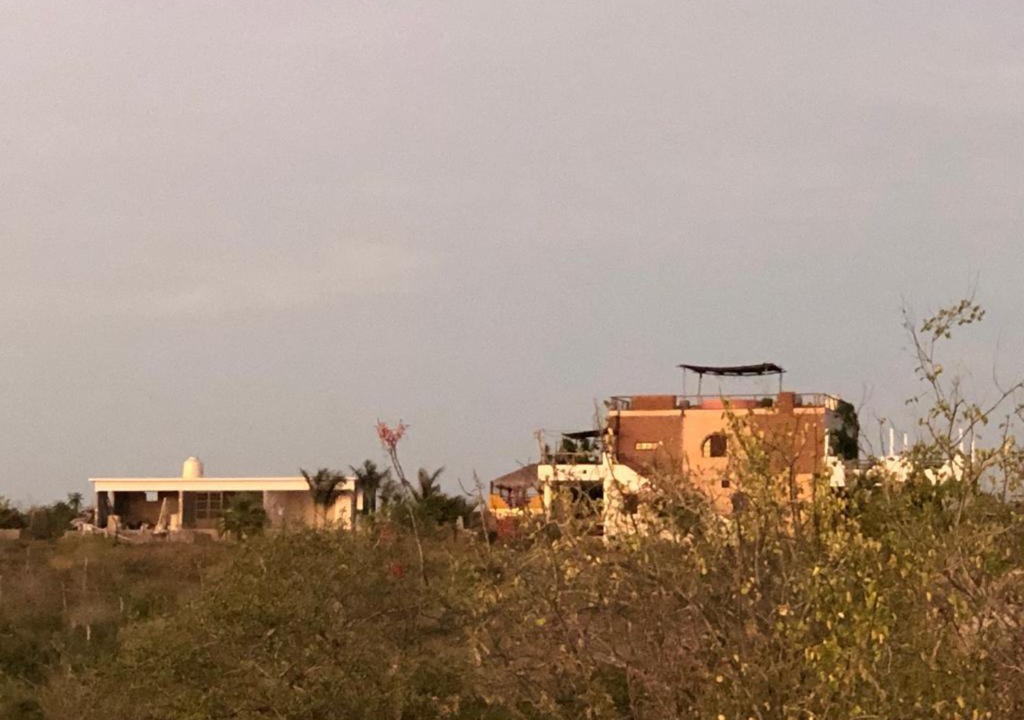 Photo of Others in Todos Santos