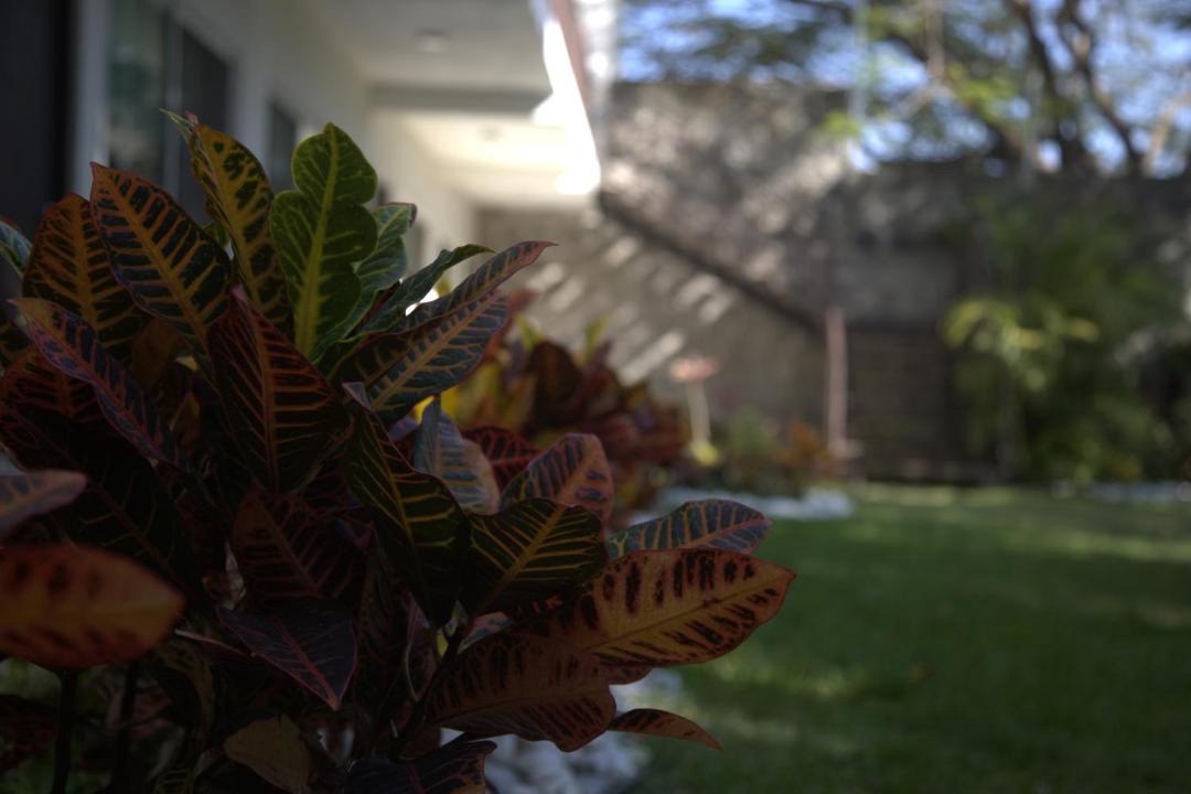 Photo of Patio Balcony in Chiconcuac