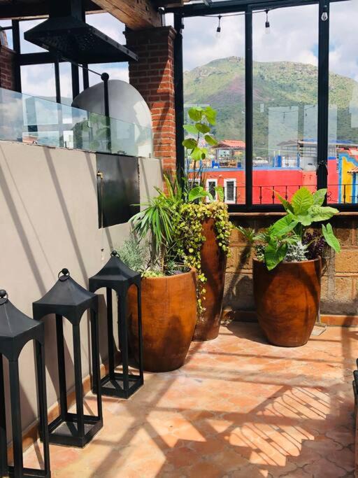 Photo of Others in Guanajuato