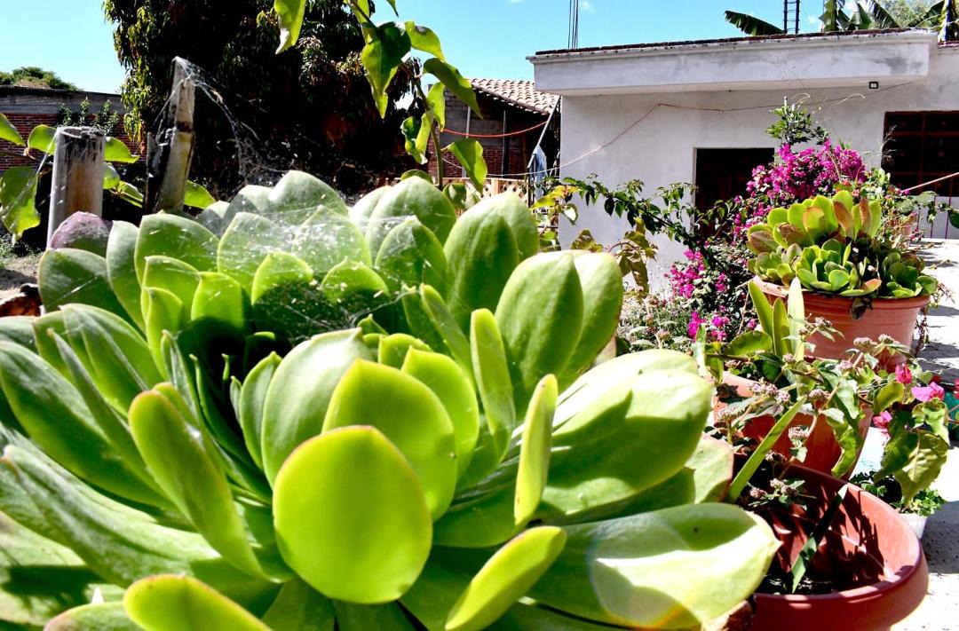 Photo of Others in Teotitlan del Valle
