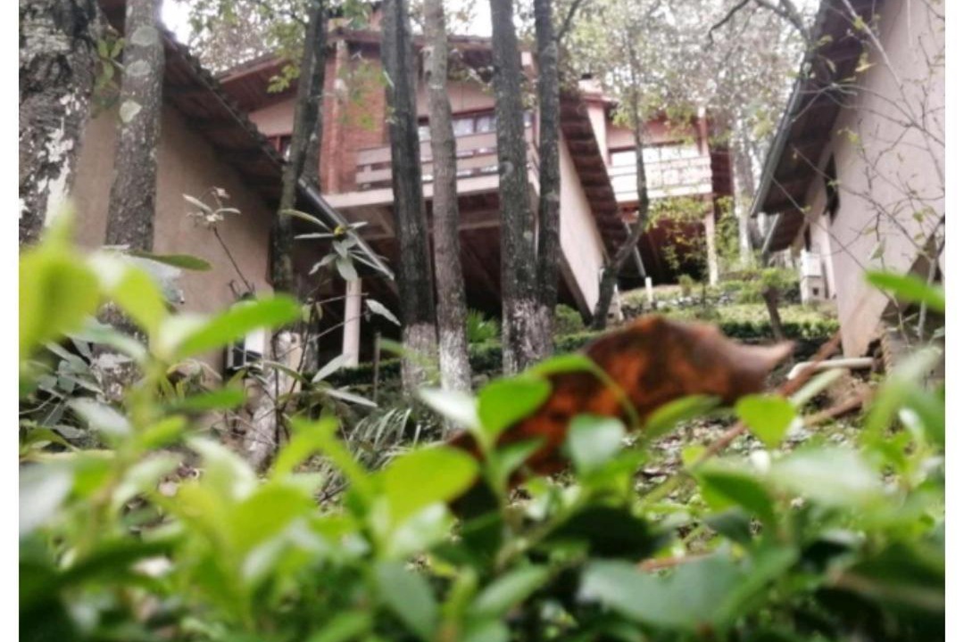 Photo of Others in Huasca De Ocampo