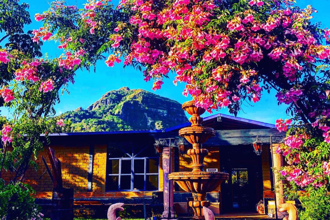 Photo of Others in Tepoztlan