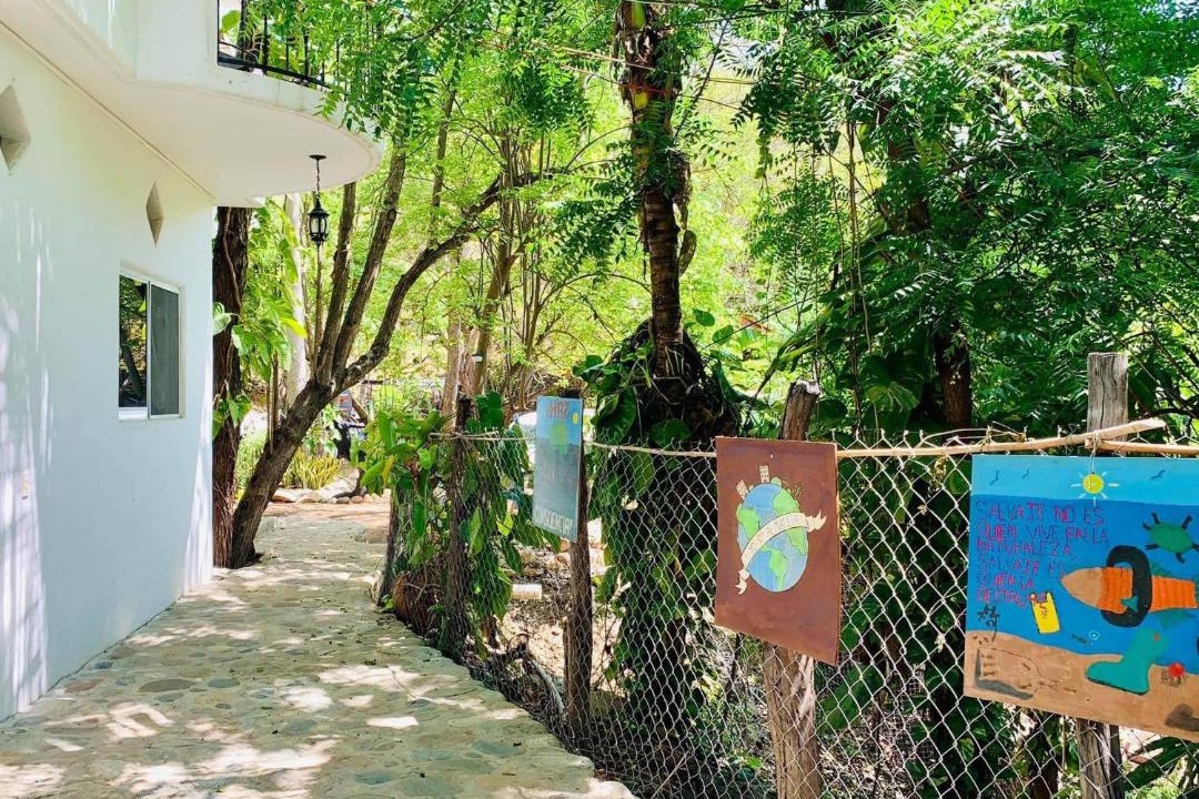 Photo of Others in Puerto Angel