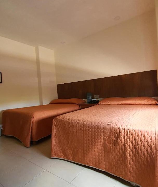 Photo of Bedroom in Downtown Culiacan