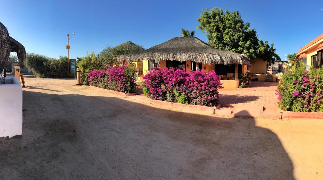 Photo of Others in Cabo Pulmo