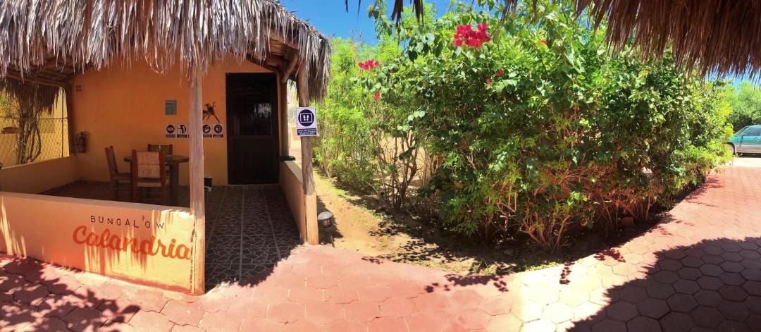 Photo of Others in Cabo Pulmo