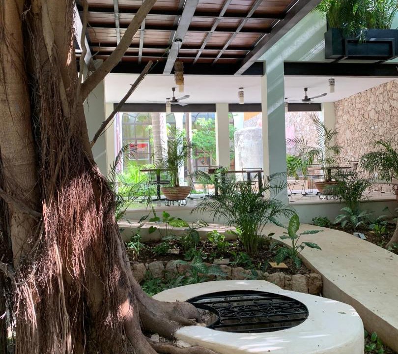 Photo of Others in Zona Paseo Montejo