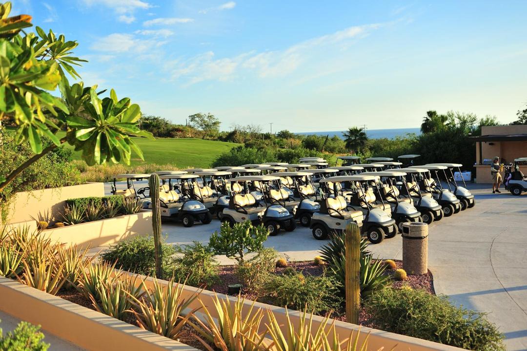 Photo of Others in San Jose del Cabo