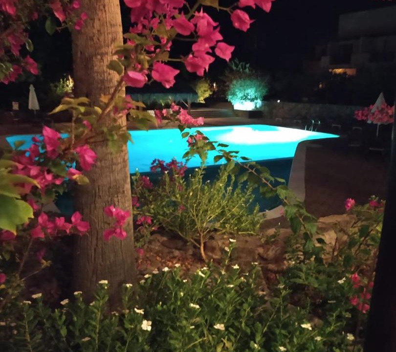 Photo of Others in Puerto Escondido