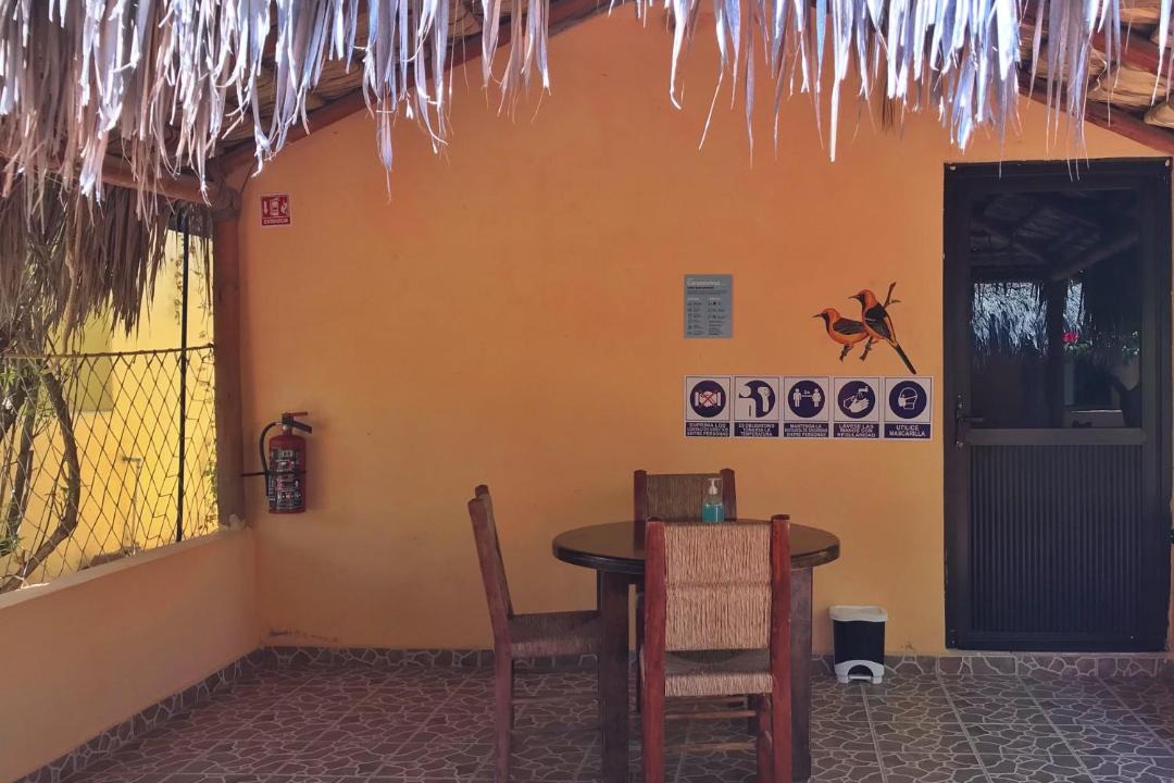 Photo of Others in Cabo Pulmo