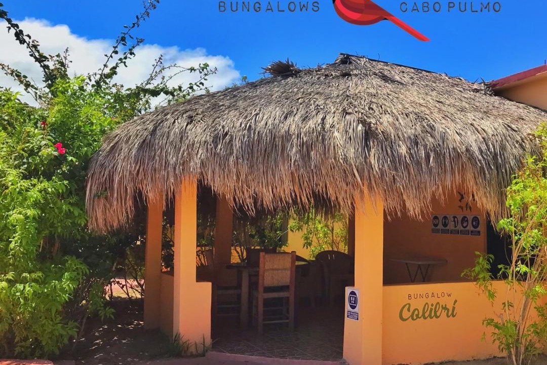 Photo of Others in Cabo Pulmo