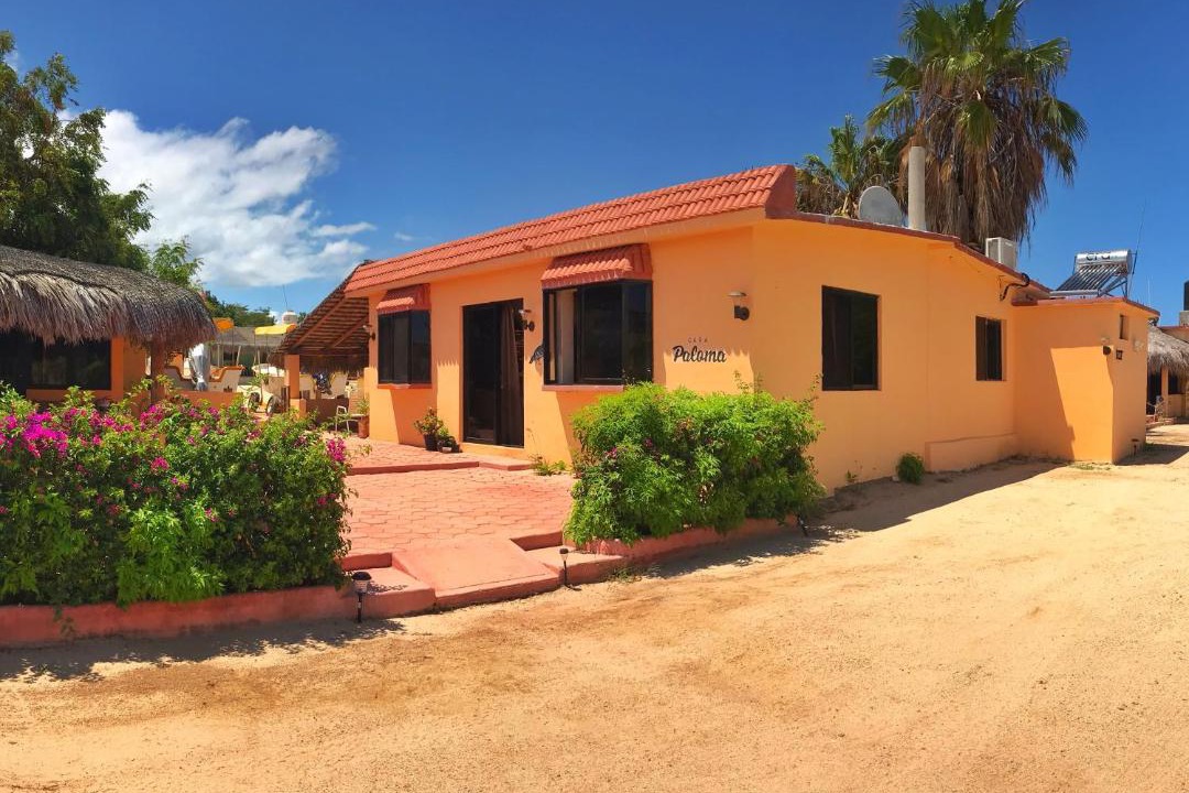 Photo of Others in Cabo Pulmo