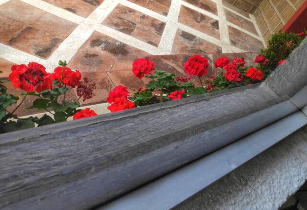 Photo of Others in Pachuca
