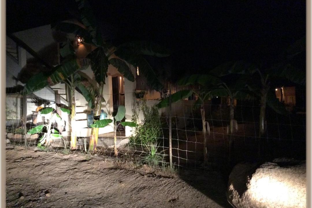 Photo of Others in Todos Santos