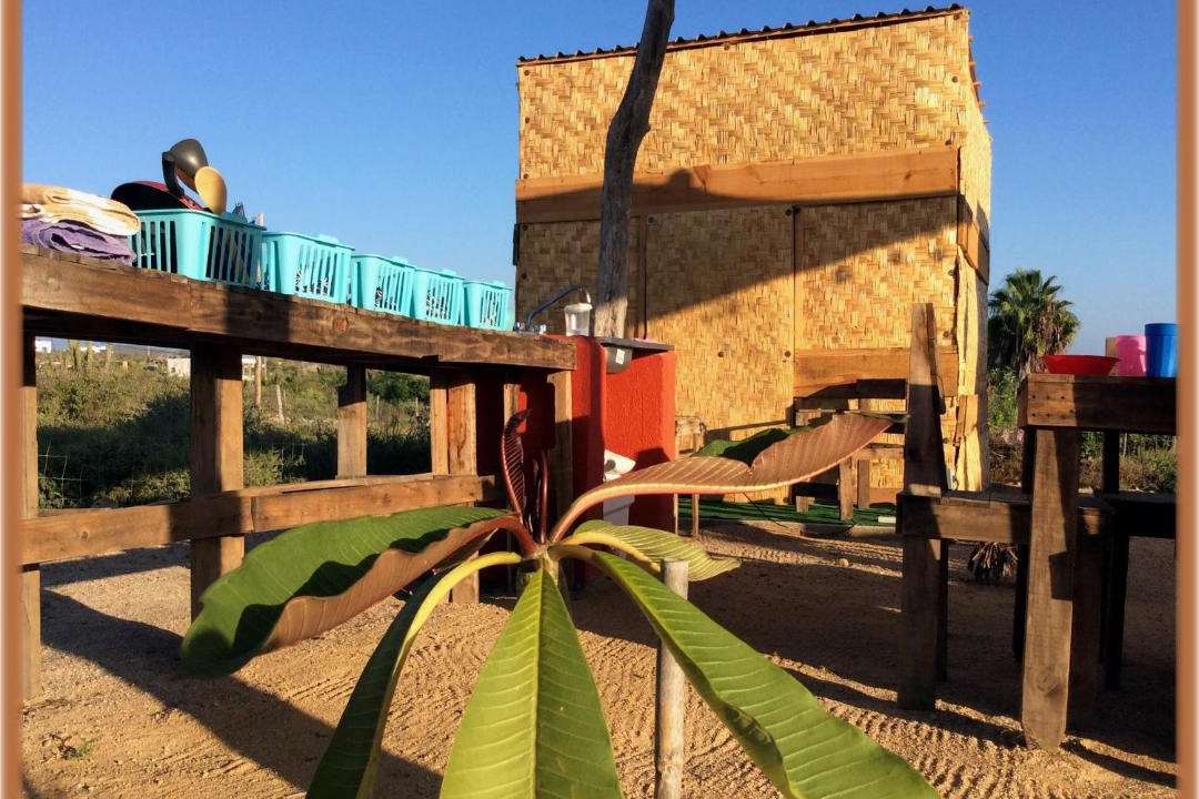 Photo of Others in Todos Santos