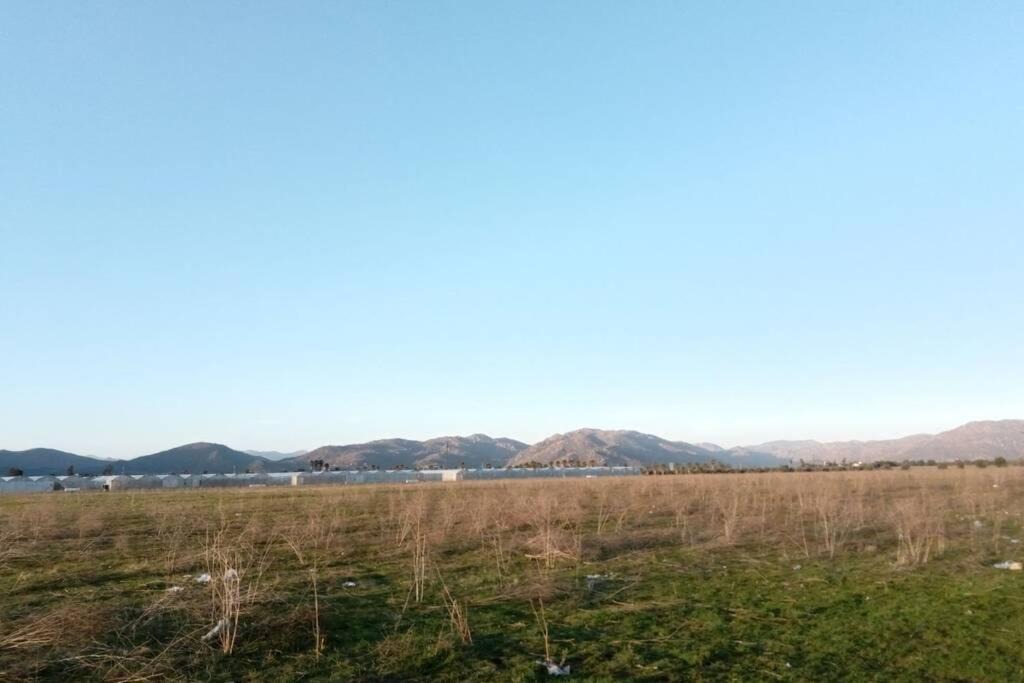 Photo of Outdoor in Valle de Guadalupe