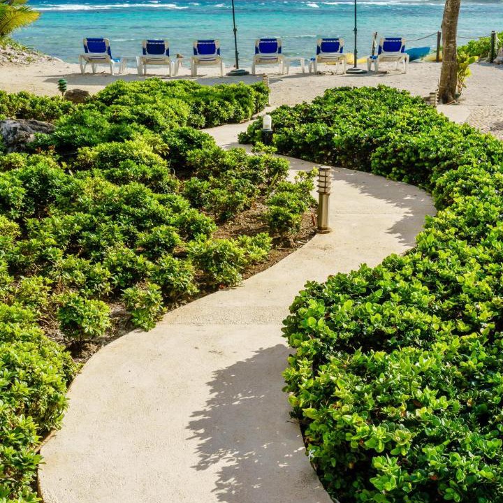 Photo of Outdoor in Akumal